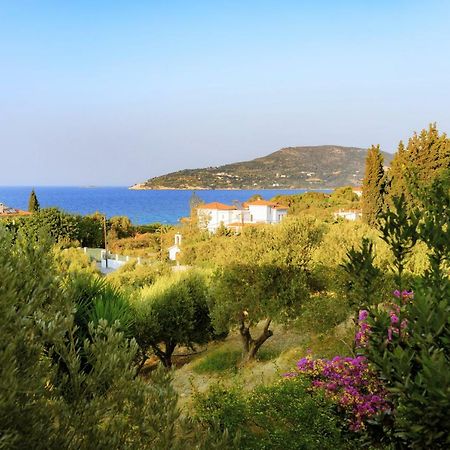 Kedros Hotel Samos Island Экстерьер фото